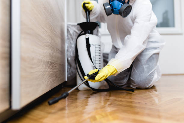 Best Commercial Pest Control Services  in Grosse Pointe Park, MI