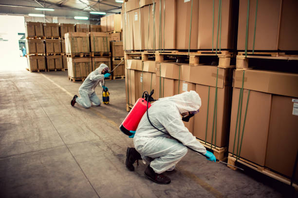 Best Local Pest Control Services  in Grosse Pointe Park, MI