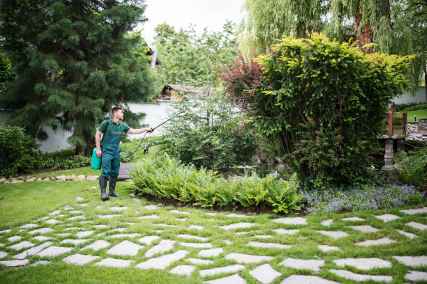 Best Emergency Pest Control  in Grosse Pointe Park, MI