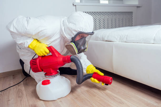 Professional Pest Control in Grosse Pointe Park, MI