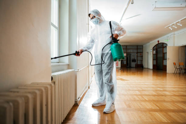 Best Insect Control  in Grosse Pointe Park, MI