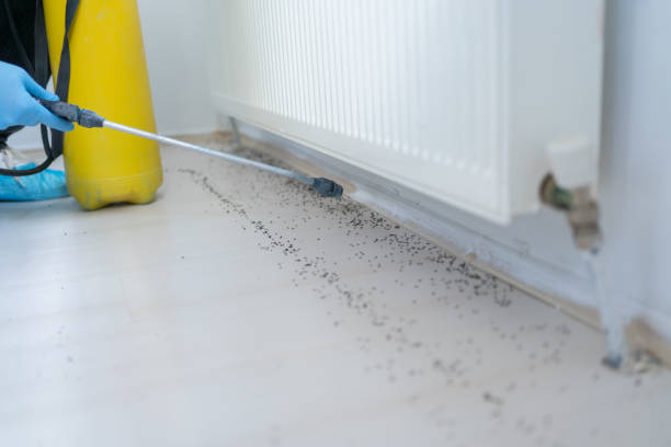 Best Pest Prevention Services  in Grosse Pointe Park, MI