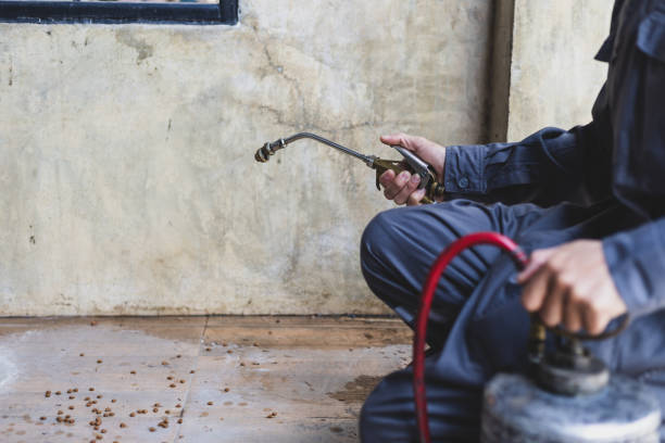 Best Best Pest Control Companies  in Grosse Pointe Park, MI