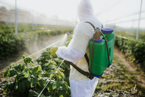 Best Affordable Pest Control Services  in Grosse Pointe Park, MI